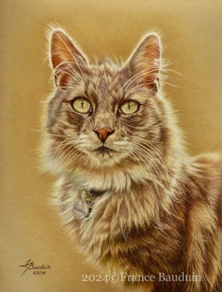 Hickory - 27 hours
Sand Pastelmat
13" x 10"
Ref: Michelle Pawley Hickory - 27 hours
Sand Pastelmat
13" x 10"
Ref: Michelle Pawley